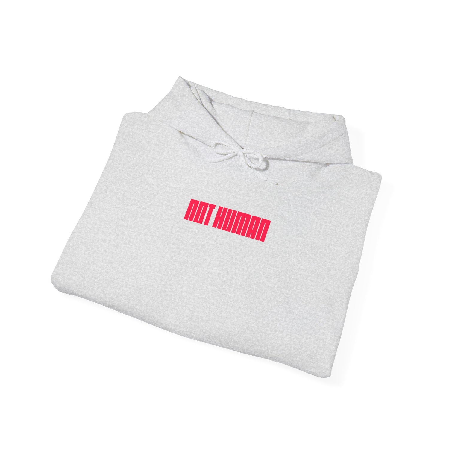 Warrior Mindset Hoodie - NOT HUMAN